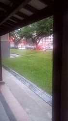 Blk 875 Yishun Street 81 (Yishun), HDB 4 Rooms #561770651